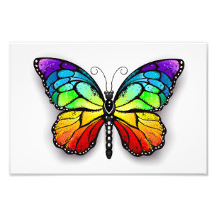 Monarch van regenboogvlinders foto afdruk