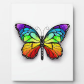 Monarch van regenboogvlinders fotoplaat (Voorkant)