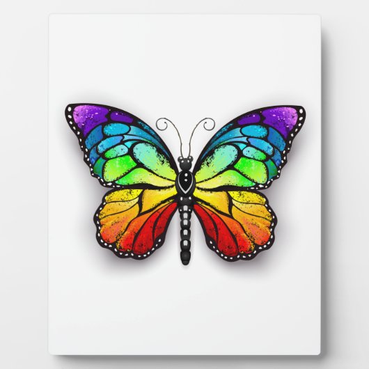 Monarch van regenboogvlinders fotoplaat (Voorkant)