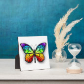 Monarch van regenboogvlinders fotoplaat (Insitu)