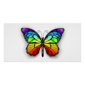 Monarch van regenboogvlinders perfect poster (Voorkant)