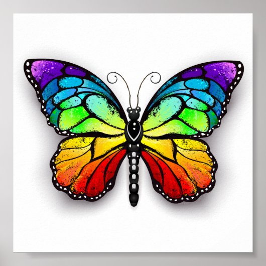 Monarch van regenboogvlinders poster (Voorkant)