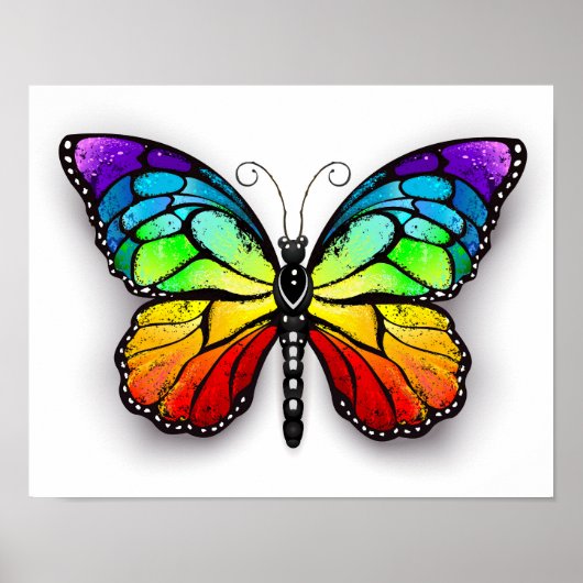 Monarch van regenboogvlinders poster (Voorkant)