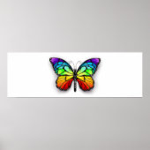 Monarch van regenboogvlinders poster (Voorkant)