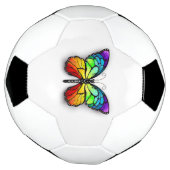 Monarch van regenboogvlinders voetbal (Gedraaid)