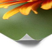 Monarch van Zinnia elegans "Zowie"-Poster Poster (Hoek)