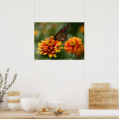 Monarch van Zinnia elegans "Zowie"-Poster Poster (Keuken)