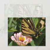 Monarch Vlinder Ansichtkaart Briefkaart (Voorkant / Achterkant)