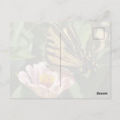 Monarch Vlinder Ansichtkaart Briefkaart (Achterkant)