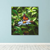 Monarch Vlinder Backlit op Daisy Flower Canvas Afdruk (Insitu (Houten vloer))