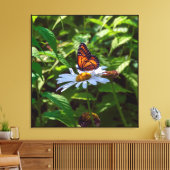 Monarch Vlinder Backlit op Daisy Flower Canvas Afdruk (Insitu (Woonkamer))