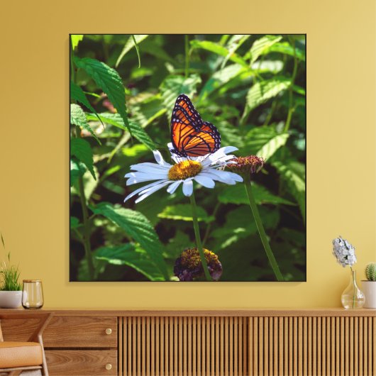 Monarch Vlinder Backlit op Daisy Flower Canvas Afdruk (Insitu (Woonkamer))