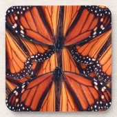 monarch vlinder bier onderzetter (Voorkant)