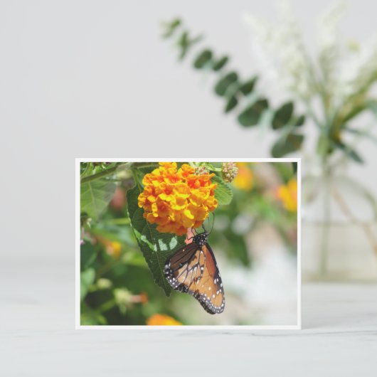 Monarch vlinder briefkaart (Staand voorkant)