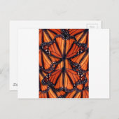 monarch vlinder briefkaart (Voorkant / Achterkant)