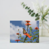 Monarch vlinder briefkaart (Staand voorkant)