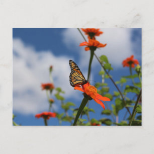 Monarch vlinder briefkaart