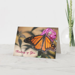Monarch Vlinder Denken Aan Jou Kaart