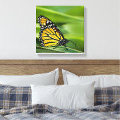 Monarch Vlinder Design Canvas Print (Insitu (Slaapkamer))