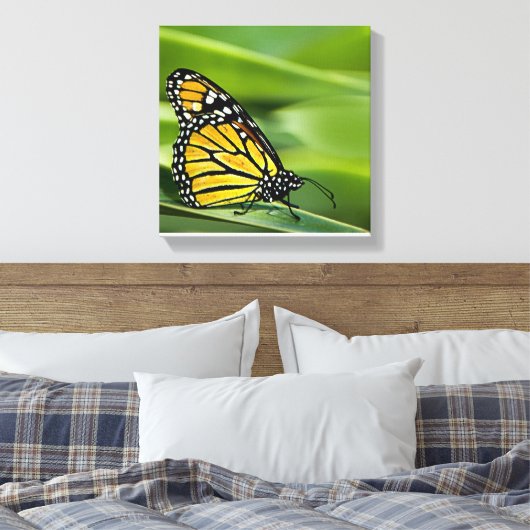 Monarch Vlinder Design Canvas Print (Insitu (Slaapkamer))