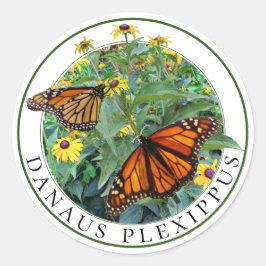 Monarch Vlinder en Zwarte Eyed Susan Rudbeckia Ronde Sticker