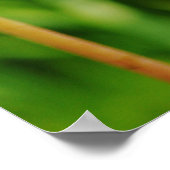  Monarch Vlinder Fotografie Kunstbloem Poster (Hoek)