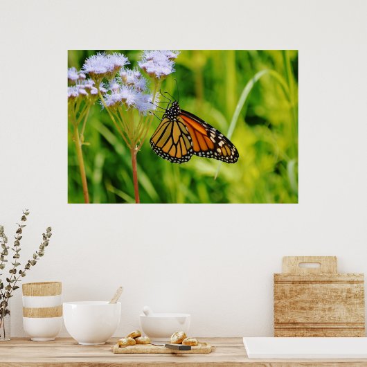  Monarch Vlinder Fotografie Kunstbloem Poster (Keuken)