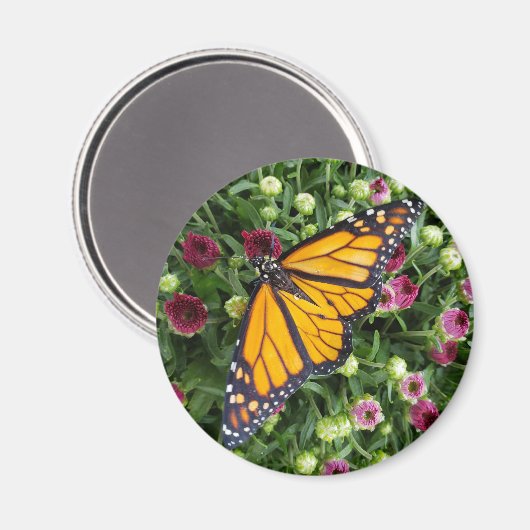 Monarch vlinder fotografisch magneet (Voorkant / Achterkant)