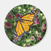 Monarch vlinder fotografisch magneet (Voorkant)