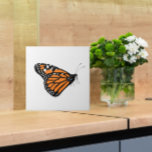 Monarch Vlinder Illustratie Sinaasappel en Wit Tegeltje<br><div class="desc">Voeg gratie en elegantie toe aan uw keuken, badkamer of andere betegelde ruimte met deze prachtige sinaasappel en zwarte monarch vlinder illustratie tegel. Op een witte achtergrond. Deze tegel is ideaal voor tuiniers of liefhebbers van naturen en past zowel in een moderne als een meer traditionele stijl. Ook maakt een...</div>