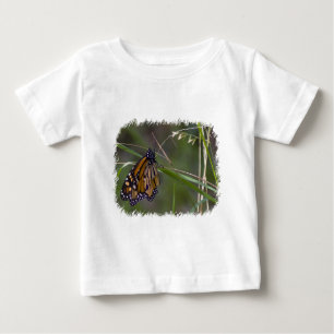 Monarch vlinder in het gras
