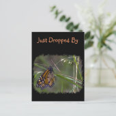 Monarch vlinder in het gras briefkaart (Staand voorkant)
