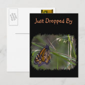 Monarch vlinder in het gras briefkaart (Voorkant / Achterkant)