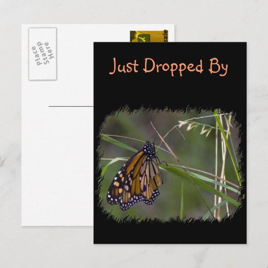 Monarch vlinder in het gras briefkaart (Voorkant / Achterkant)