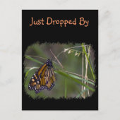 Monarch vlinder in het gras briefkaart (Voorkant)