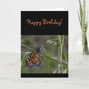 Monarch vlinder in het gras verjaardag kaart