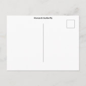 Monarch vlinder Klein Briefkaart (Achterkant)