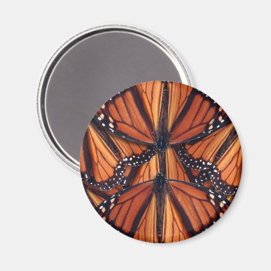 monarch vlinder magneet (Voorkant / Achterkant)