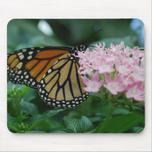 Monarch Vlinder Muismat