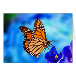 Monarch Vlinder notitiekaart