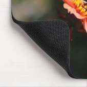 Monarch Vlinder op Dahlia Muismat (Hoek)