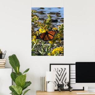 Monarch Vlinder op een Bloem bij de Water Natuur Poster