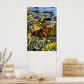 Monarch Vlinder op een Bloem bij de Water Natuur Poster (Keuken)