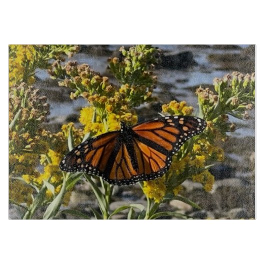 Monarch Vlinder op een Bloem bij de Water Natuur Snijplank (Voorkant)