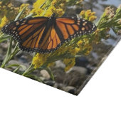 Monarch Vlinder op een Bloem bij de Water Natuur Snijplank (Hoek)