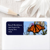 Monarch vlinder op Paarse distels donkerblauw Etiket (Insitu)