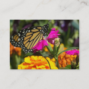 Monarch-vlinder op roze marigold-visitekaartjes visitekaartje