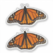 Monarch Vlinder Open Vleugels Sticker (Voorkant)