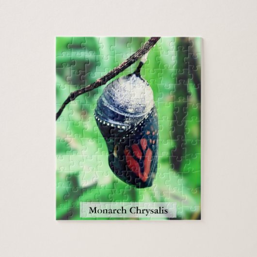 Monarch Vlinder Pop Before Uitkomen 110 stuks Legpuzzel (Verticaal)