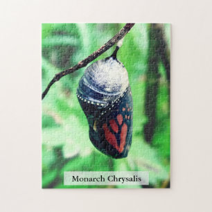 Monarch Vlinder Pop Before Uitkomen 252Stuks Legpuzzel